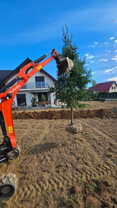 Usługi ogrodnicze | Zakładanie ogrodów