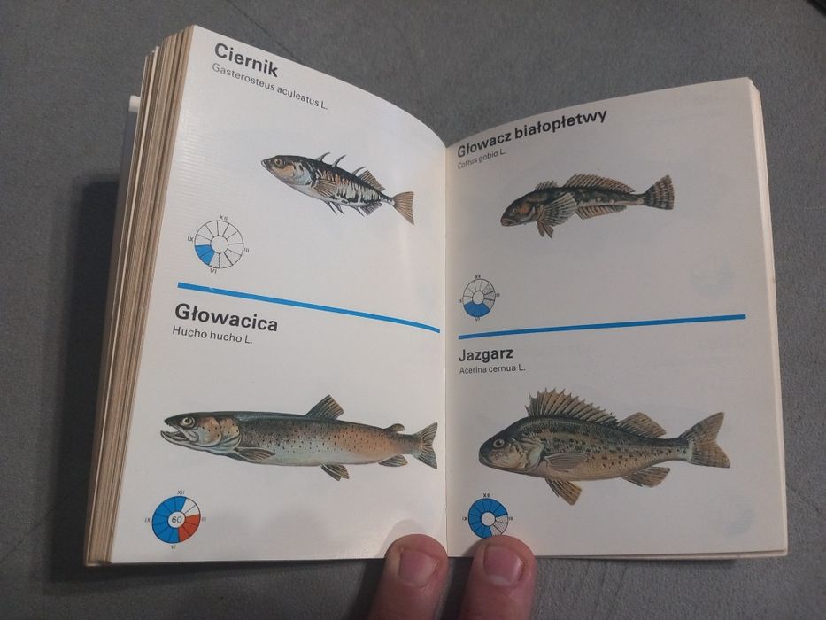 Kalendarz wędkarza 1982r.