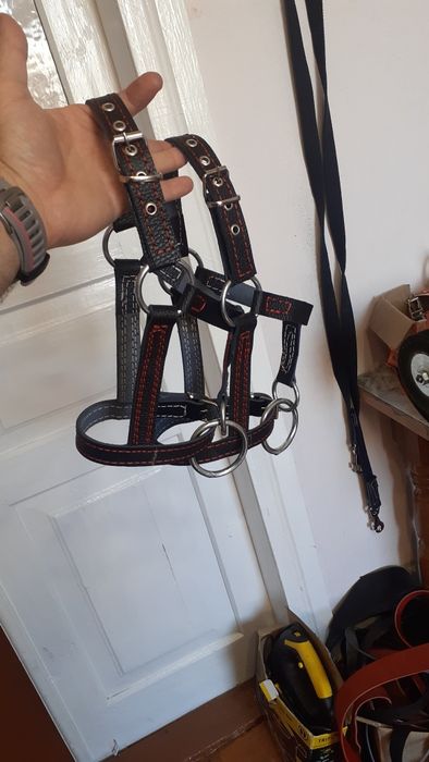 Недоуздок для усмирения теленка  быка джерсейская голштинская абердин