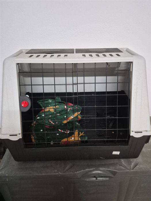 Transportado de animais