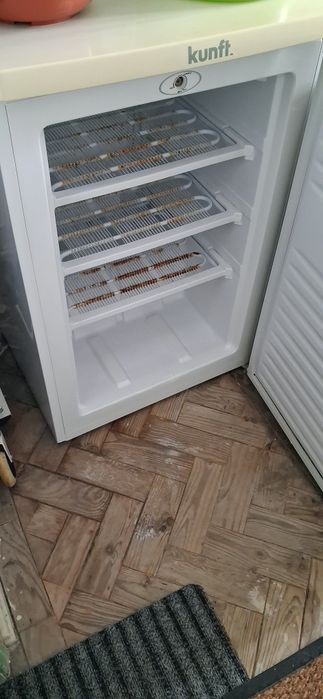 Arca congeladora