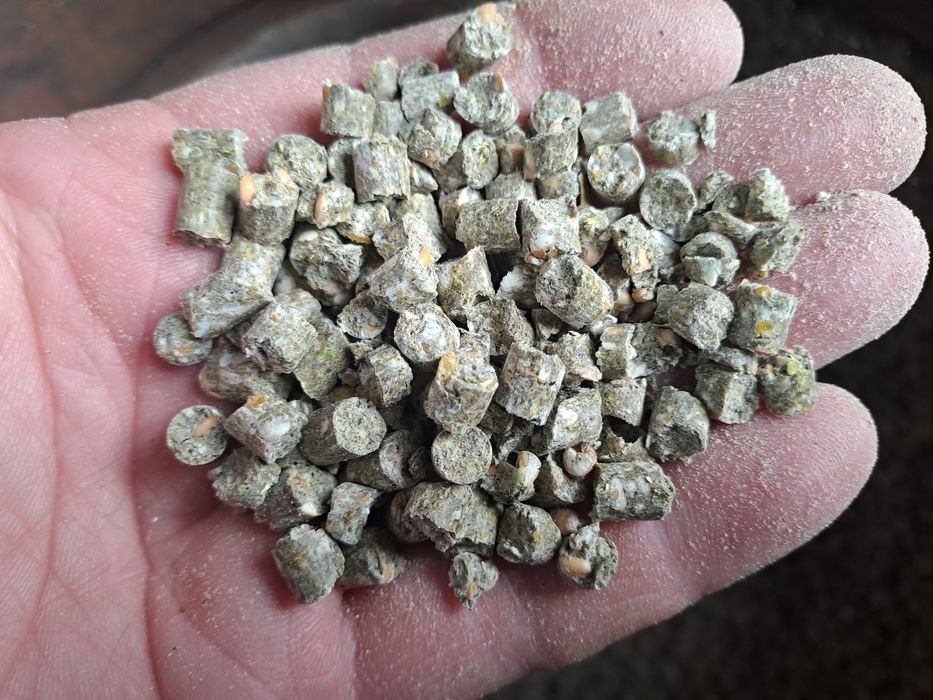 Корм для Собак власного виробництва