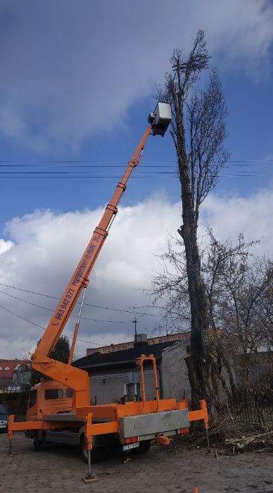 Podnośnik koszowy zwyżka 31m 27m 24m 22m 20m usługi wycinka drzew