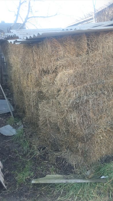 Продам хорошу солому