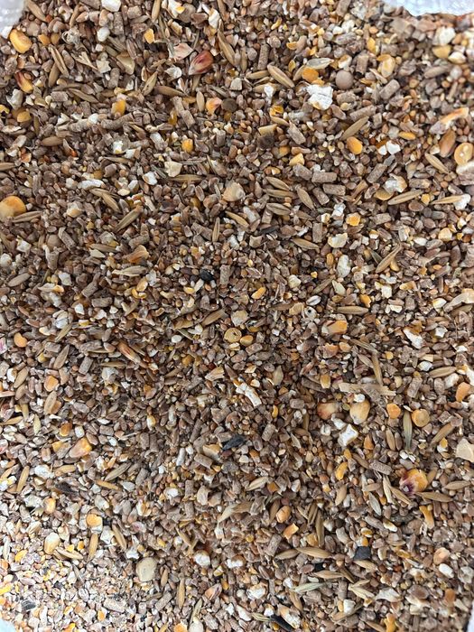 Gotowa pasza dla kur