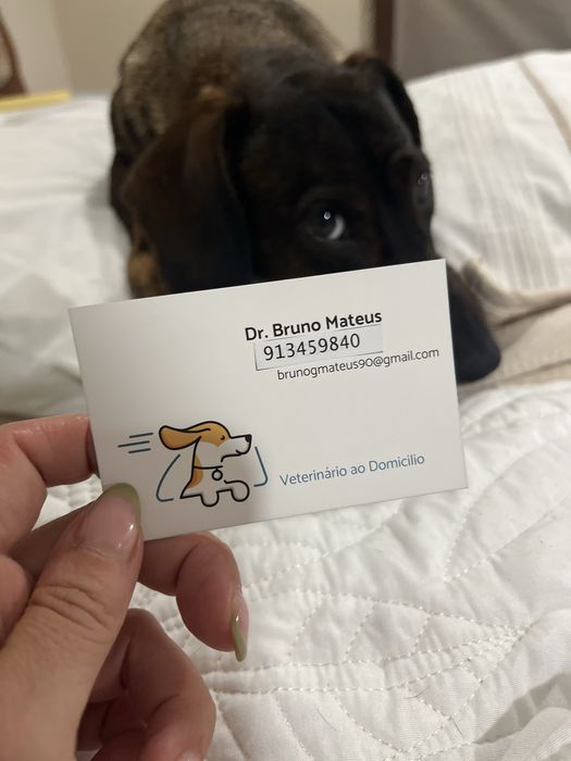 Veterinário ao Domicilio