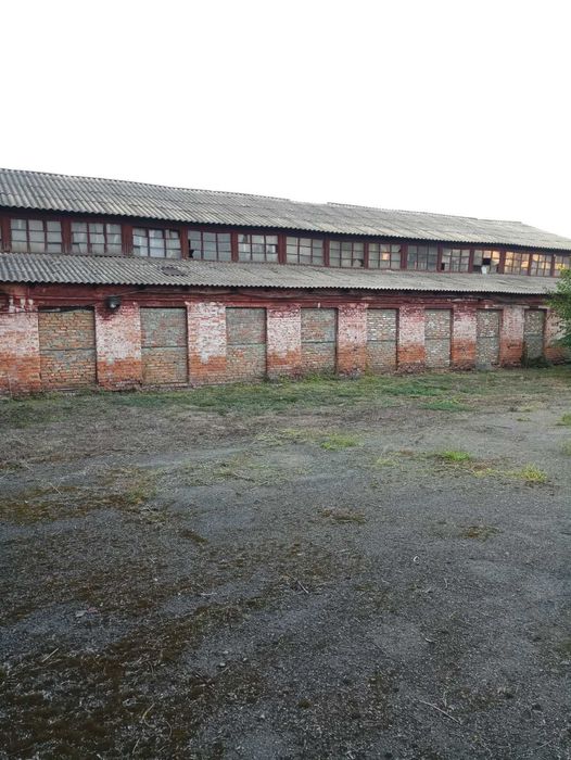 Комерійна нерухомість м.Шпола