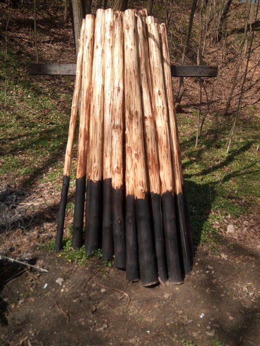 Słupki ogrodzeniowe leśna siatka