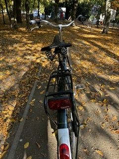 Gazella Impala sprzedaży.