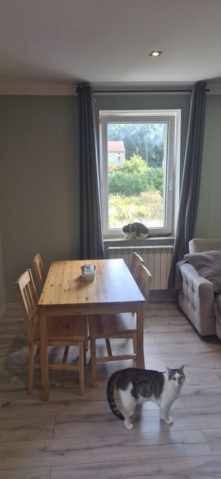Mieszkanie – Pieńsk - Widok 2