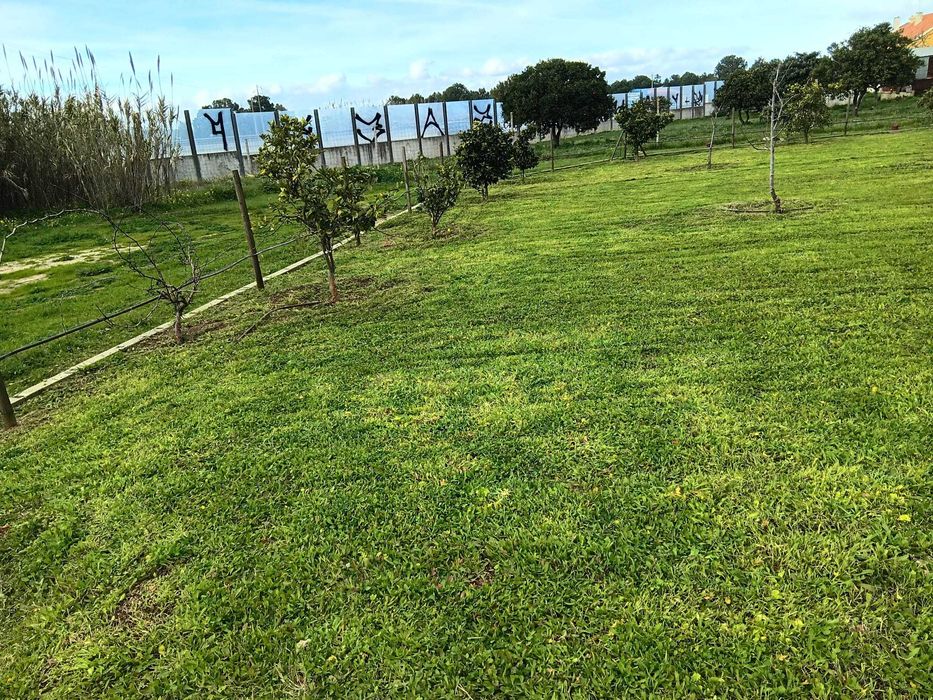 Manutenção de jardins e limpeza de terrenos - Preços acessíveis