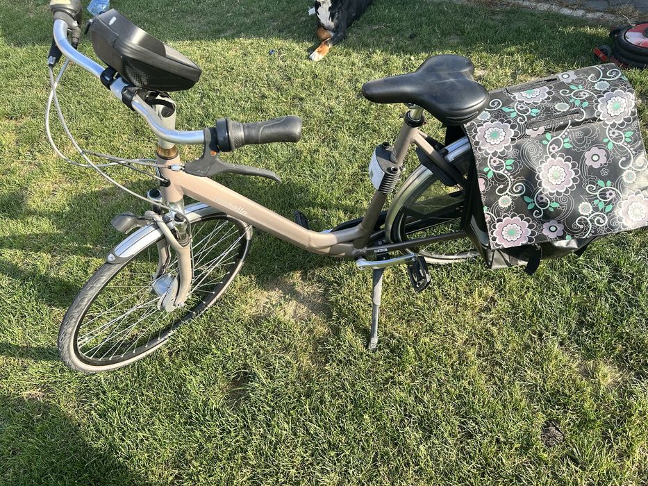 Rower gazella gazelle orange c7 damski