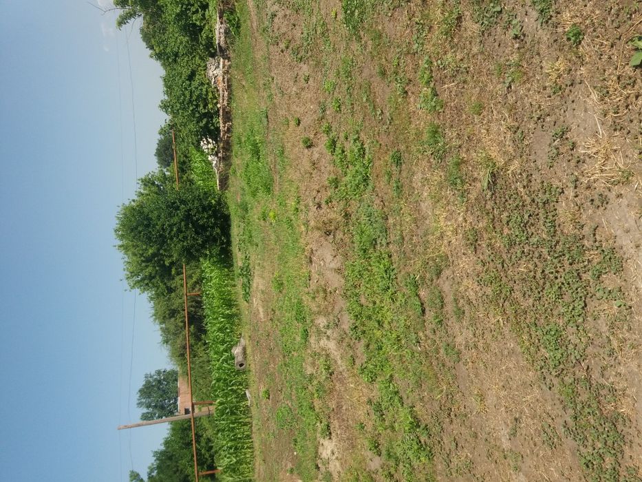 Участок 20 и 40 соток.