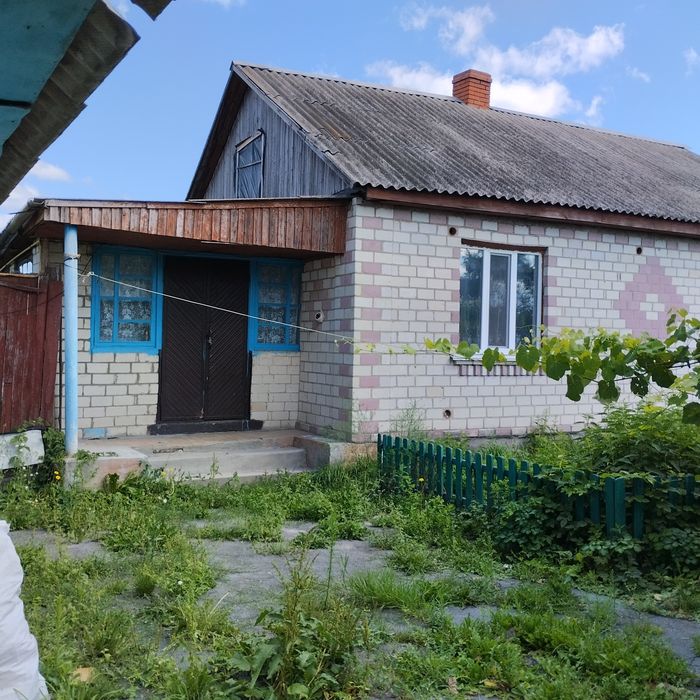 Будинок в селі Нова Романівка