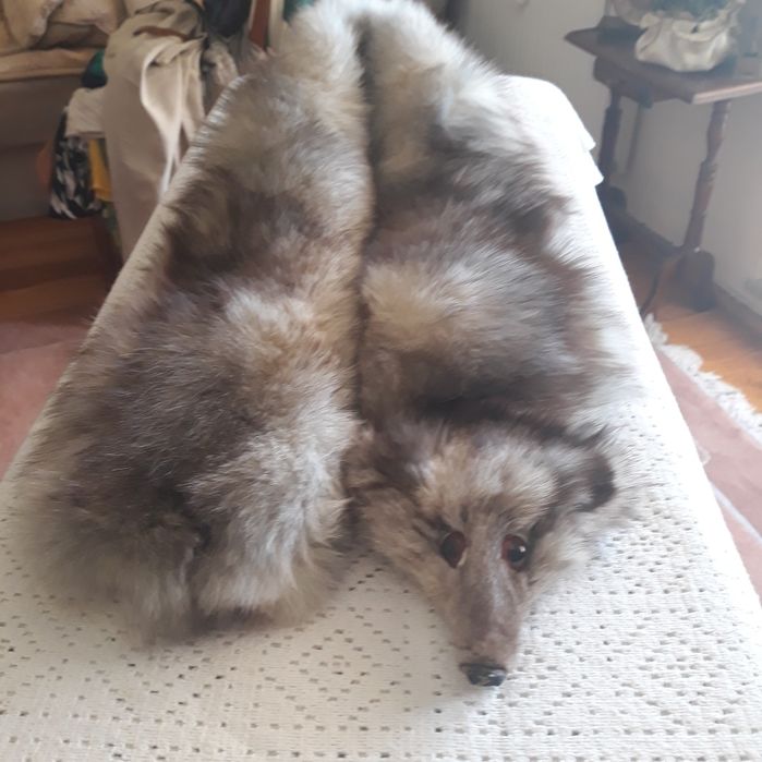 Kołnierz z lisa sprzedam