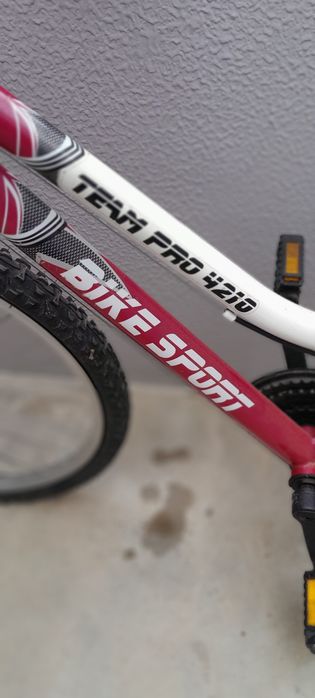 Bicicleta Team Pro 4210 Bike Sport