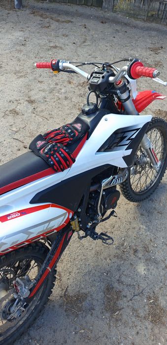 Apollo lizzard rfz 250