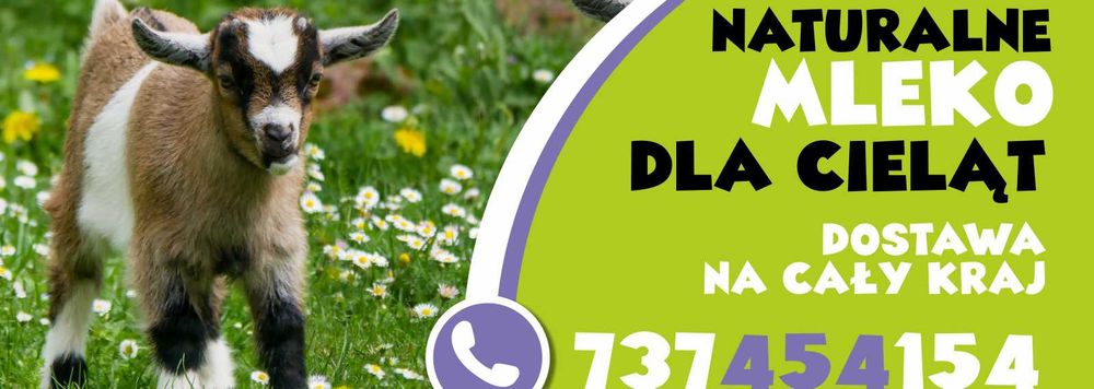 mleko dla jagniąt koźląt szybka wysyłka na cały kraj