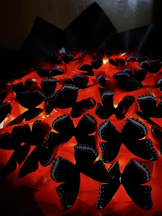 Букет із метеликів, букет из бабочек