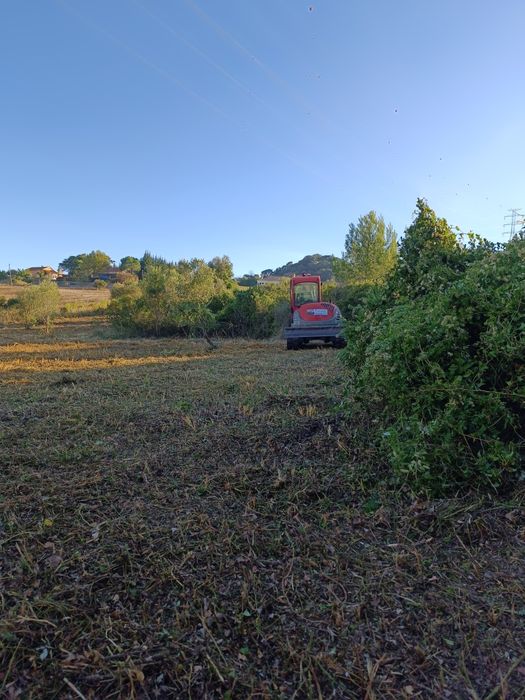 Serviços de Bobcat ( destroçador florestal)