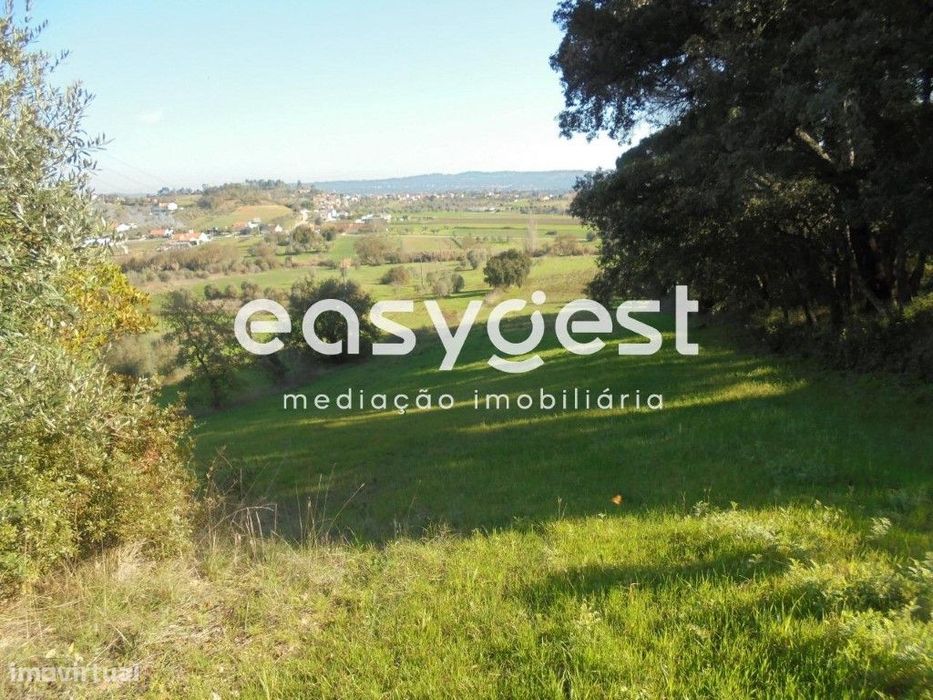 Terreno Urbano para construção em São Miguel - Tomar... — Madalena E Beselga, Santarém