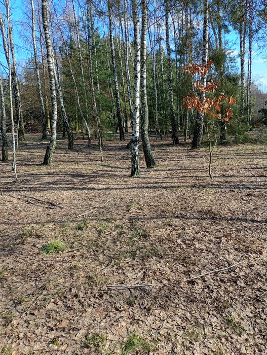 Działka o powierzchni 5287 m2