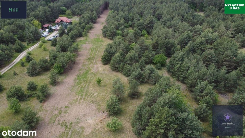Działki budowlane przy lesie