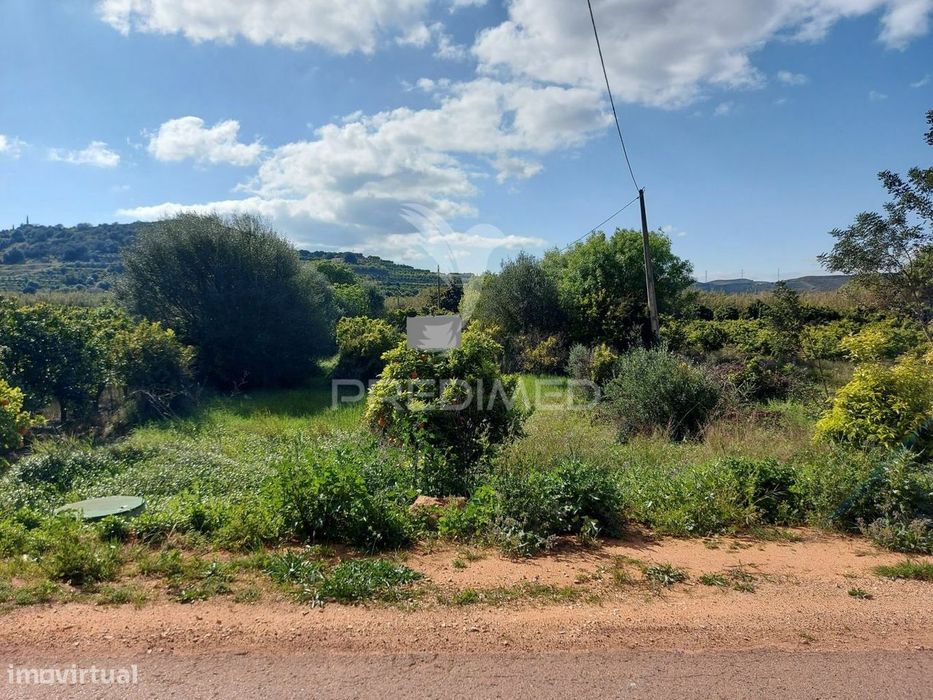 Terreno agrícola 2600m2 com árvores e água em Silves — Silves, Faro