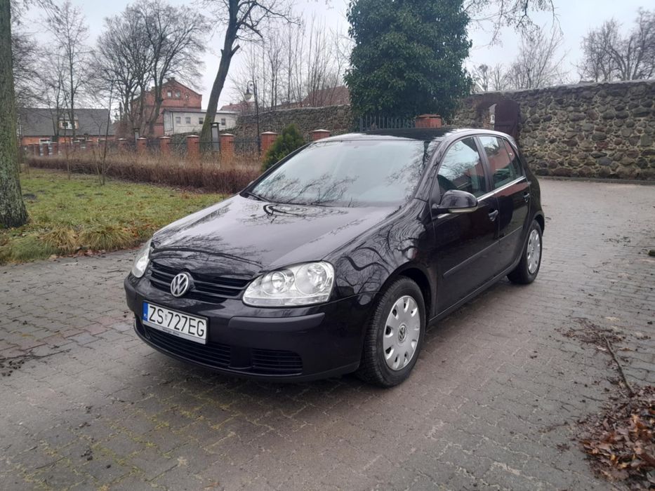 Volkswagen Golf V 1.4 Mpi HB 5d 2004r Zarejestrowany w PL