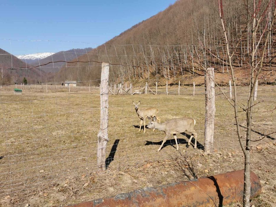 продається земельна ділянка