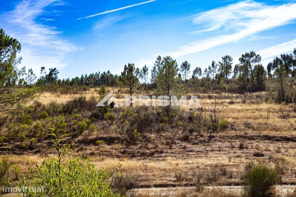 Rustic Land for Sale in Palvarinho, Castelo Branco