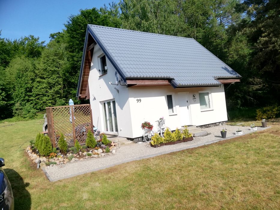 Wynajmę domek / Nocleg  w Nadole nad jeziorem / morzem/ blisko Dębki B