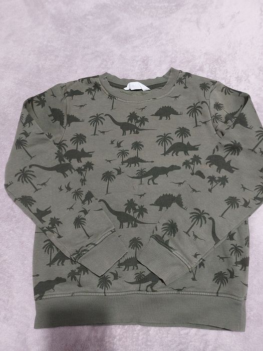 Bluza H&M 134 140 dinozaury