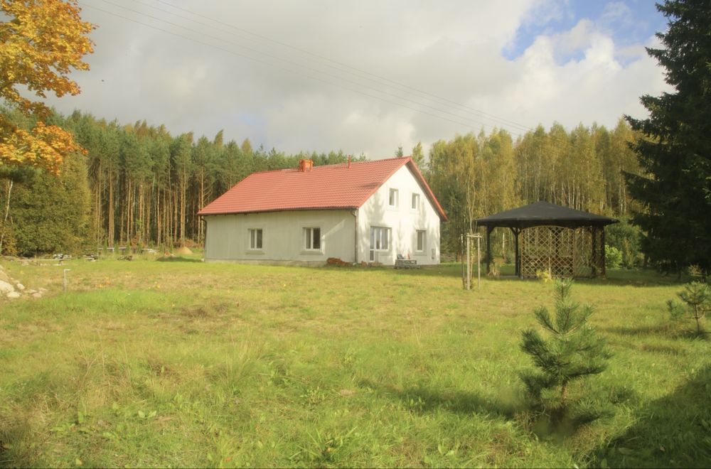Leśne siedlisko 3000 m² warmia i mazury cisza i spokój i natura