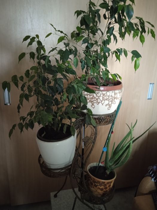 Кована підставка под квіти