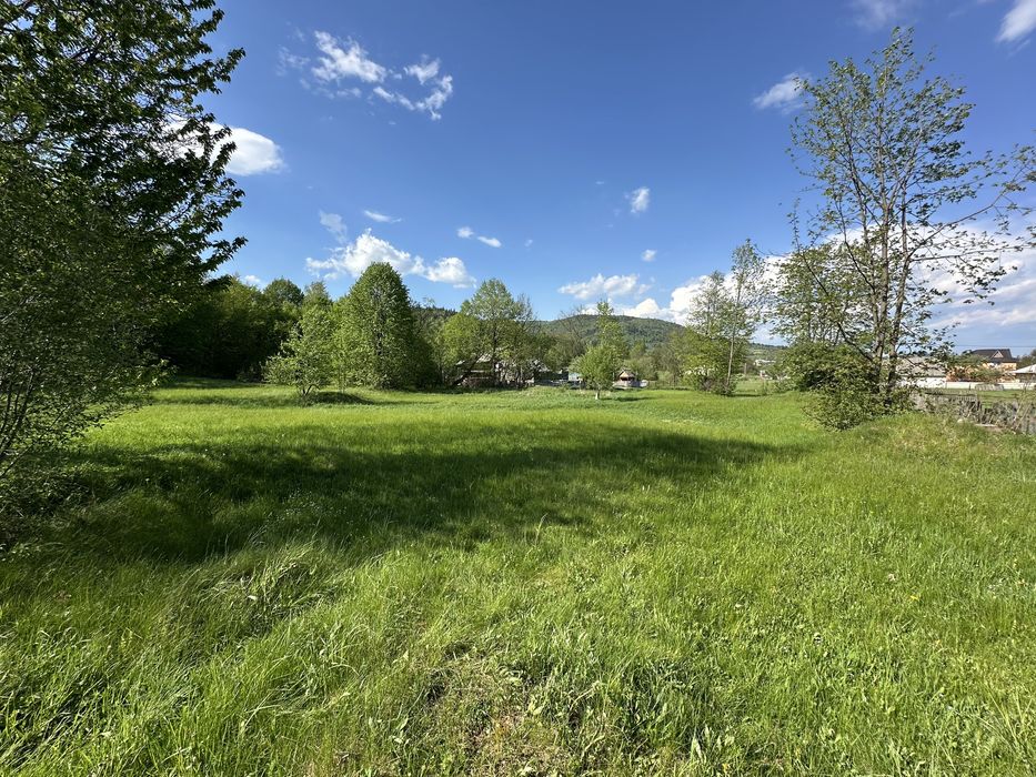 Продам ділянку 40 соток з будиноком