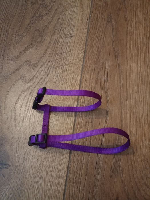 Szelki dla kota fioletowe