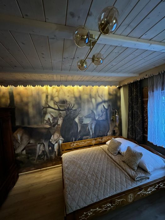 Wynajem apartamentów  Zakopane ul.Bachledy 20 tel.6 6 8 9 6 0 1 9 9