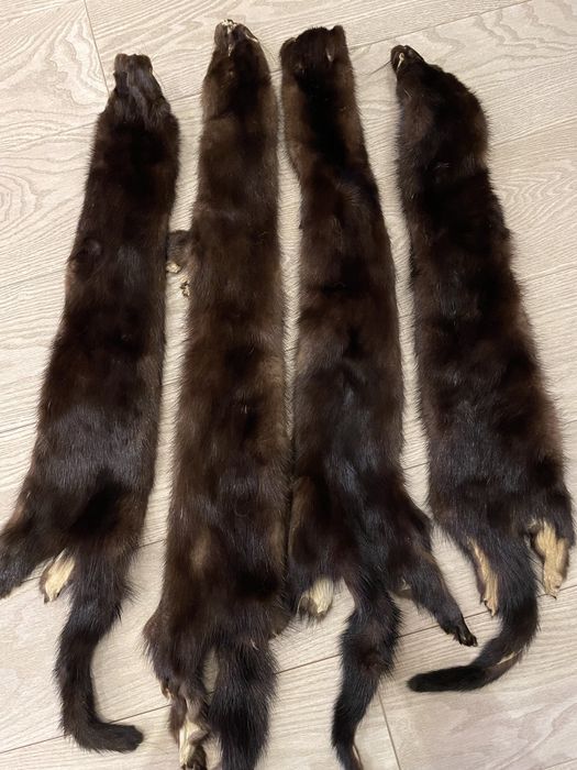 Шкурки норки (чулок)