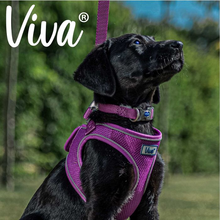 Ошийник для собак VIVA ADJUSTABLE COLLAR PURPLE (L/45-70см)