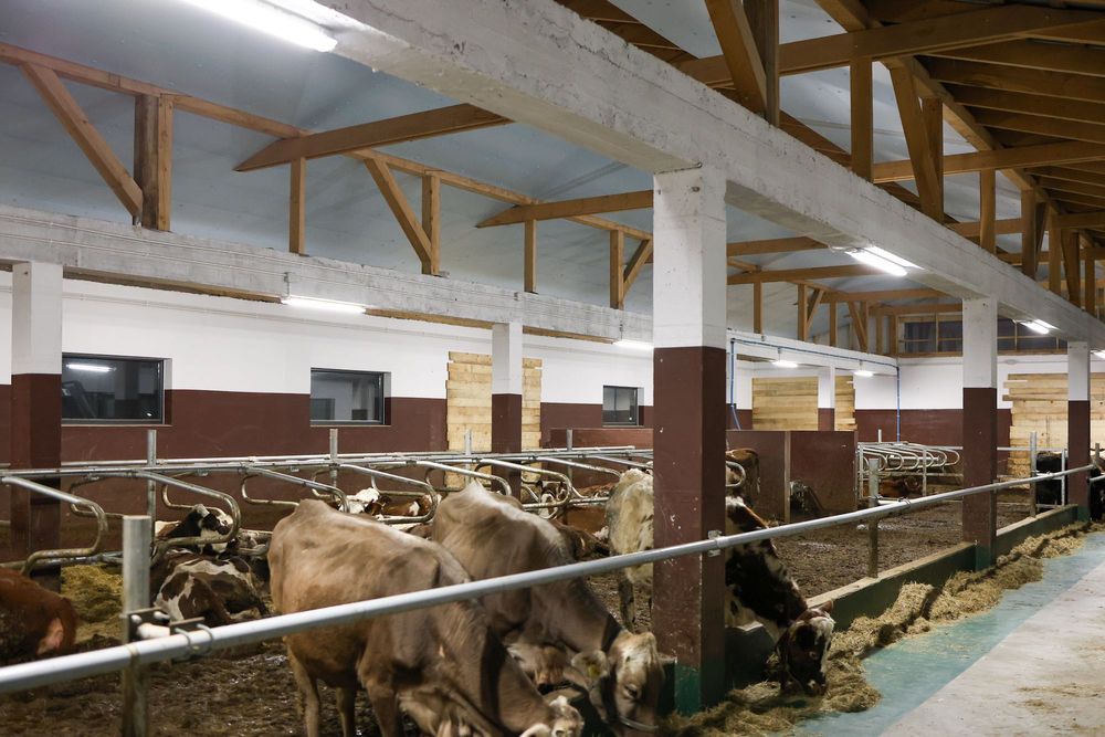 Błękitne Panele Izolacyjne Płyty Styrodur XPS AGRO 4,5,6,8,10,12 cm