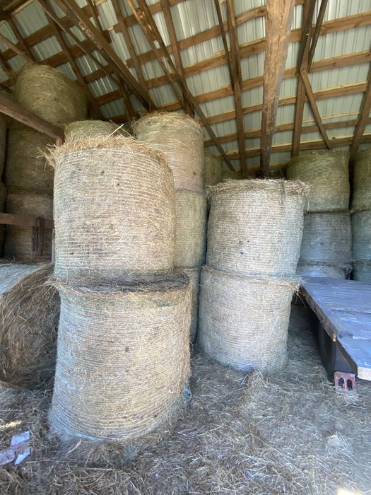 Siano suche spod dachu.