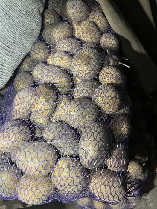 Продам картоплю.