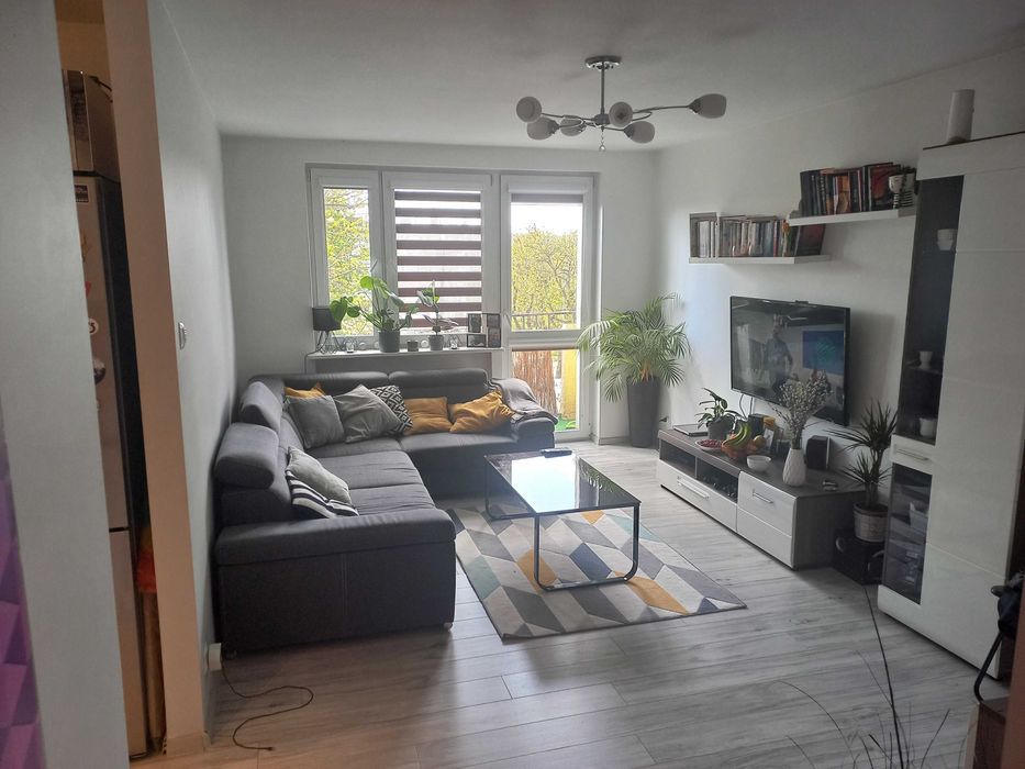 Przytulne i nowoczesne 2 pokoje (38 m²) z balkonem – ul. Rejtana 14- WYNAJEM