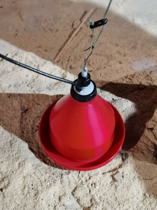 Bebedouro de suspensão automático64740381699586120