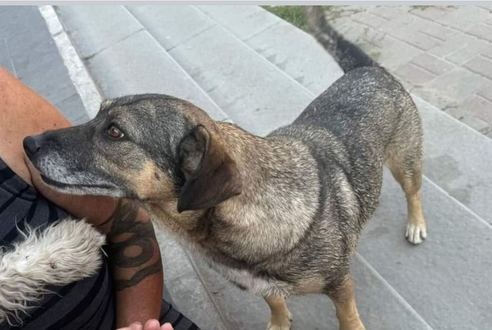 Kochana Lola o ogromnym serduszku.