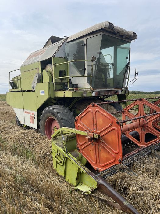 Kombajn Class dominator 86/96 od rolnika
