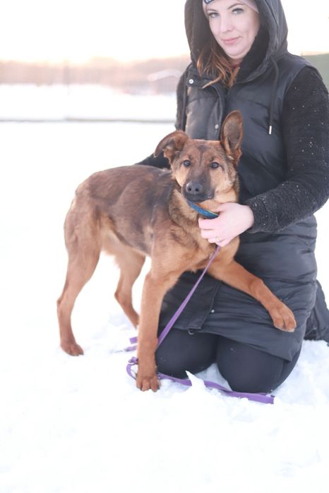 Zoja - młoda, aktywna sunia ma dużo radości do rozdania