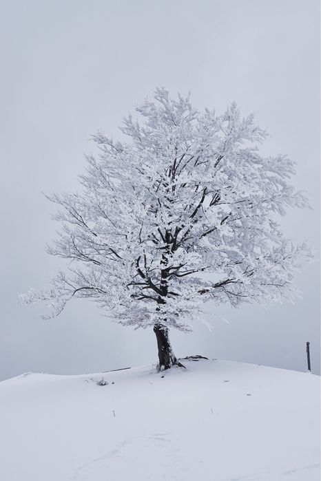 Sony Alpha a6000 НОВА! Повний комплект! + ГАРАНТІЯ!