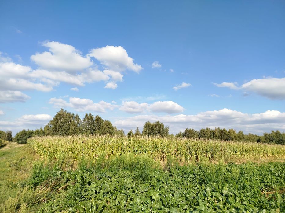 Działka rolna na sprzedaż
